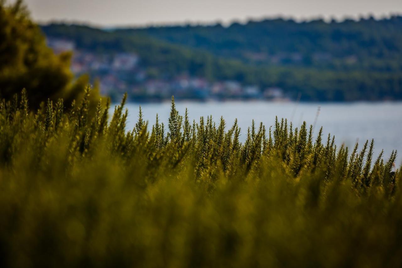 Villa Amarina Trogir Eksteriør bilde